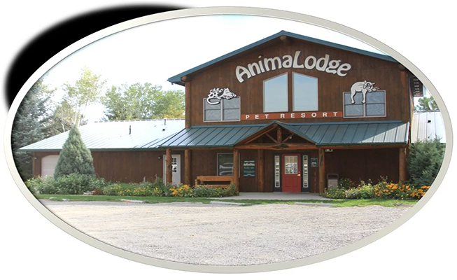 AnimaLodge Building